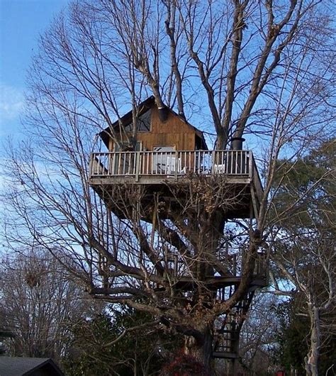 Treehouse vineyard north carolina - Best San Francisco Tree Houses in Northern California – Tree Top Glass House – Hello House. Best Yosemite Treehouse Hotels Northern California – Yosemite's Tree House Lodge. Best Hot Tub Tree House Hotel Northern California – Monte Rio Treehouse. Best Northern California Treehouse Rental for Groups …